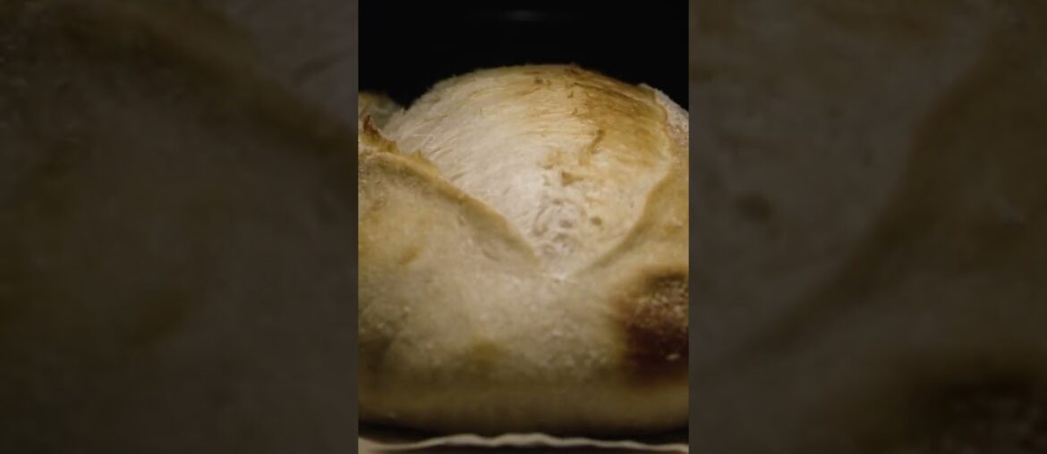 The Only Sourdough Recipe You'll Ever Need