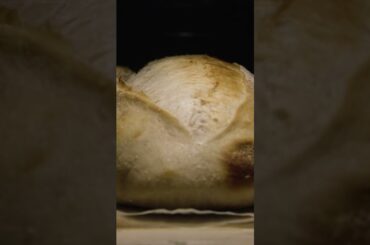 The Only Sourdough Recipe You'll Ever Need