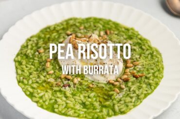 Pea Risotto with Burrata