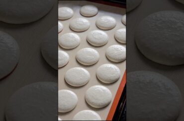 White French Macarons Process #shorts #frenchmacarons #macarons