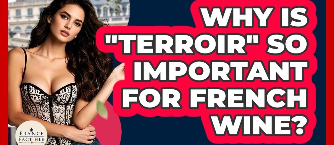 Why Is "terroir" So Important For French Wine? - France Fact File