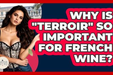Why Is "terroir" So Important For French Wine? - France Fact File