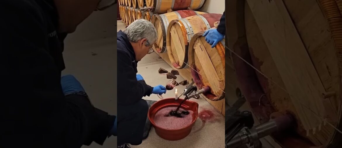 The Secret Behind the World’s Finest Wine! The Secret Behind the World’s Finest Wine!