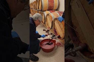 The Secret Behind the World’s Finest Wine!