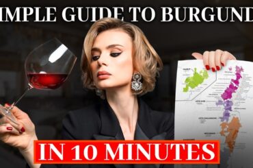 Burgundy Wine: Is it Worth the Hype? (a beginner's guide to Tasting & Buying)