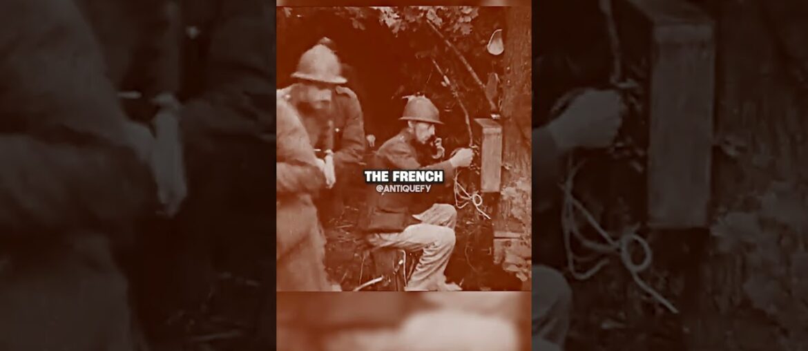 Red Wine Destroyed The French Army