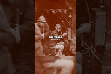 Red Wine Destroyed The French Army