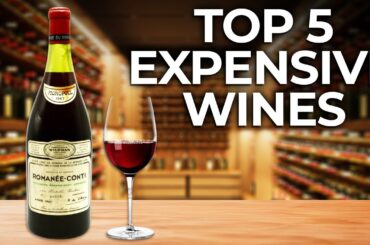 Top 5 Most Expensive Wines In The World