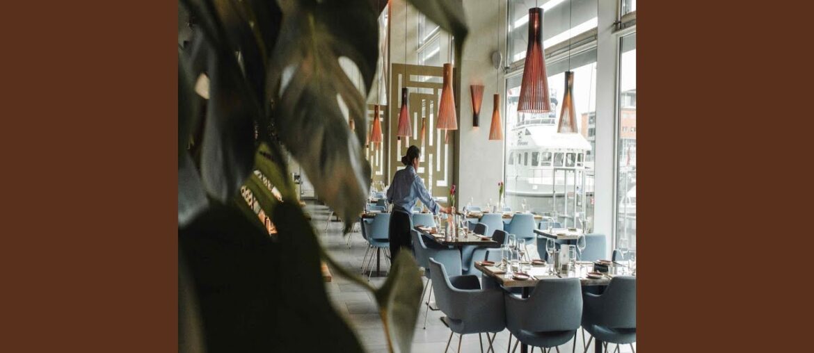 Quiet Ambience for Dining with Friends