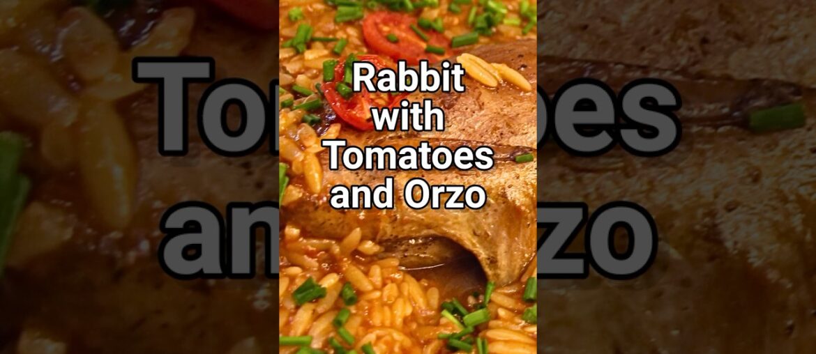 Rabbit with Tomatoes and Orzo – French and Greek Fusion Dish Rabbit with Tomatoes and Orzo - French and Greek Fusion Dish
