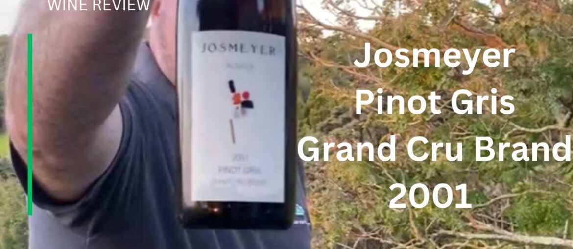 Wine Review: Josmeyer Grand Cru Brand Pinot Gris 2001 – Can a 24 Year-Old White Wine be Any Good? Wine Review: Josmeyer Grand Cru Brand Pinot Gris 2001 - Can a 24 Year-Old White Wine be Any Good?