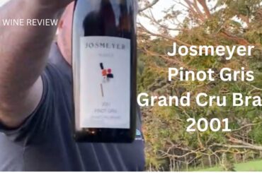 Wine Review: Josmeyer Grand Cru Brand Pinot Gris 2001 - Can a 24 Year-Old White Wine be Any Good?