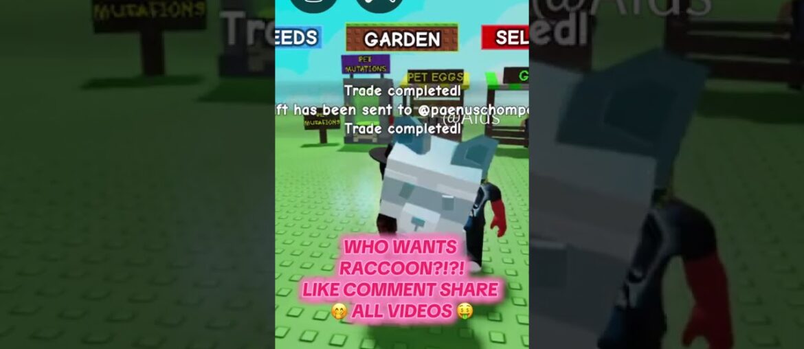 #gag #growagarden #growagardenroblox  #growagardenupdate #roblox #robloxshorts #kitsune #raccoon #rp