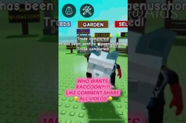 #gag #growagarden #growagardenroblox  #growagardenupdate #roblox #robloxshorts #kitsune #raccoon #rp