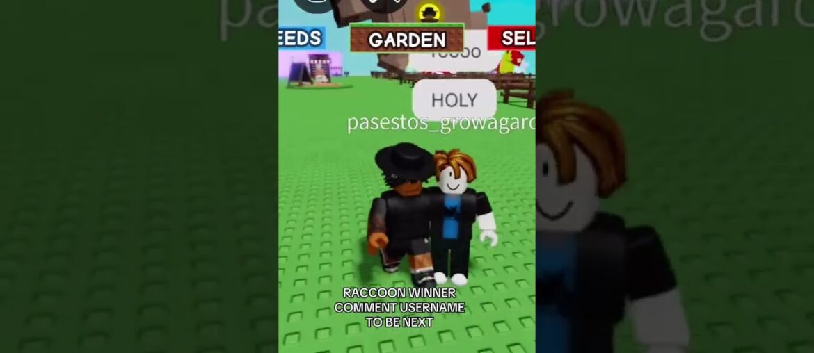 #gag #growagarden #growagardenroblox  #growagardenupdate #roblox #robloxshorts #kitsune #raccoon #rp