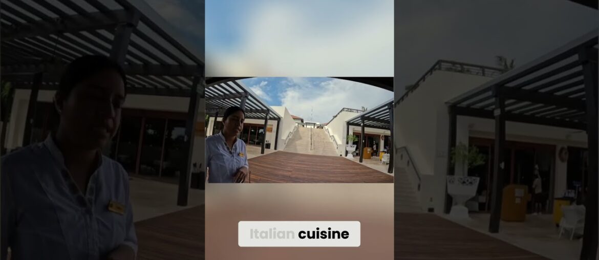 Two Cuisines, One Amazing Wine Cellar #shorts