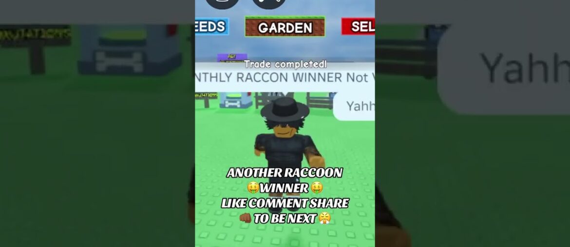 #gag #growagarden #growagardenroblox  #growagardenupdate #roblox #robloxshorts #kitsune #raccoon #rp
