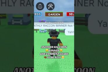 #gag #growagarden #growagardenroblox  #growagardenupdate #roblox #robloxshorts #kitsune #raccoon #rp