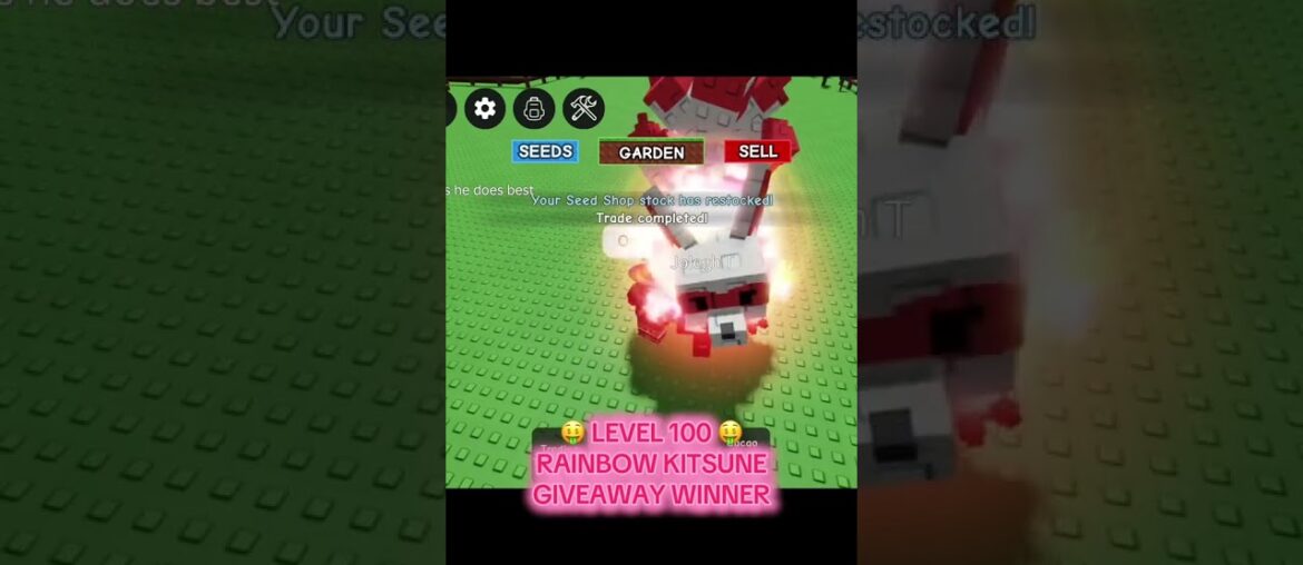 #gag #growagarden #growagardenroblox  #growagardenupdate #roblox #robloxshorts #kitsune #raccoon #rp