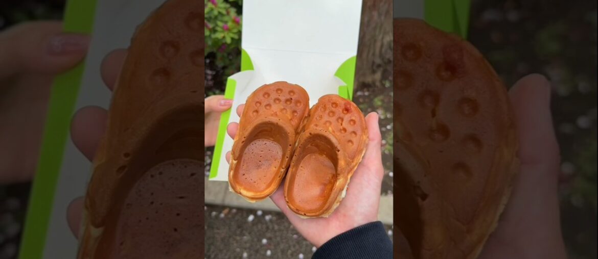 Amazing Things in France That Will Surprise You Amazing Things in France That Will Surprise You