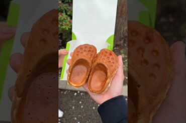 Amazing Things in France That Will Surprise You