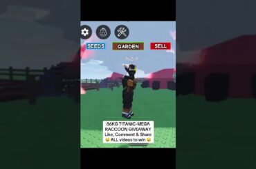 #gag #growagarden #growagardenroblox  #growagardenupdate #roblox #robloxshorts #kitsune #raccoon #rp