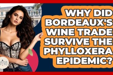 Why Did Bordeaux's Wine Trade Survive The Phylloxera Epidemic? - France Fact File