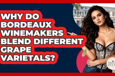 Why Do Bordeaux Winemakers Blend Different Grape Varietals? - France Fact File