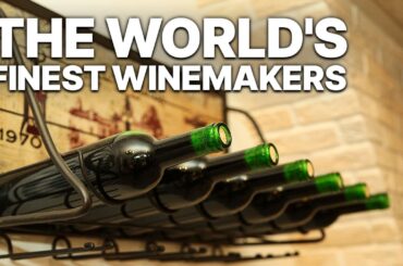 The World's Finest Winemakers | Winemaking | Documentary | English