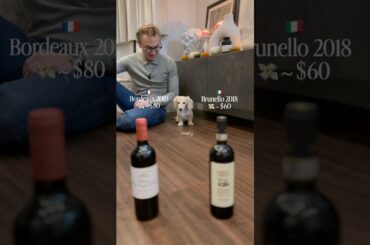 Does our puppy prefer Italian or French? #wine#vino#pupyy #dachshund#sommelier
