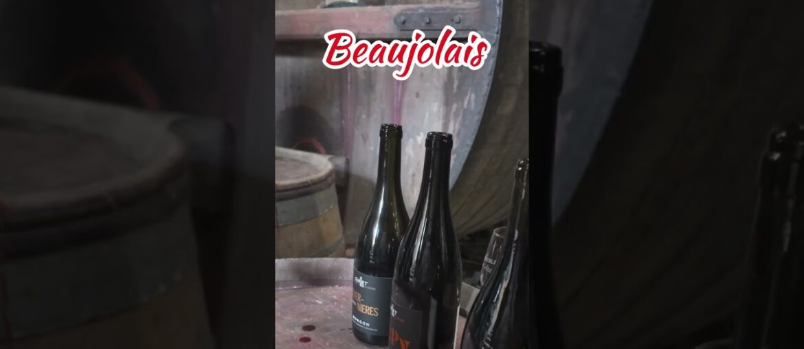 Discover the Hidden Story of Cru Morgon Wine