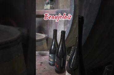 Discover the Hidden Story of Cru Morgon Wine