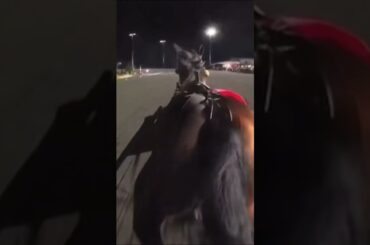 French Wine & Jason Bartlett win the Breeders Crown Open Trot 2025 #harness #trot #horseracing #race