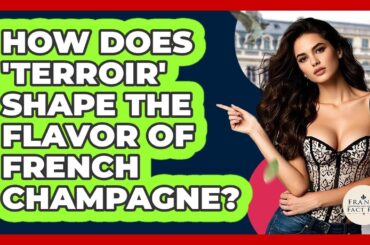 How Does 'terroir' Shape The Flavor Of French Champagne? - France Fact File