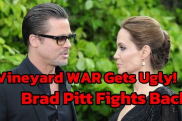 Love, Lies & Wine: The Truth Behind Brad and Angelina’s French Feud