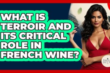 What Is Terroir And Its Critical Role In French Wine? - France Fact File