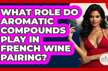 What Role Do Aromatic Compounds Play In French Wine Pairing? - France Fact File