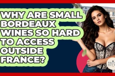 Why Are Small Bordeaux Wines So Hard To Access Outside France? - France Fact File