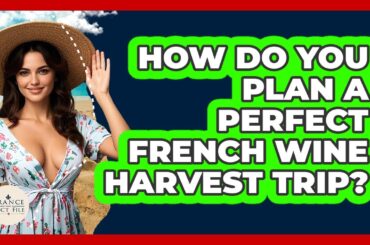How Do You Plan A Perfect French Wine Harvest Trip? - France Fact File
