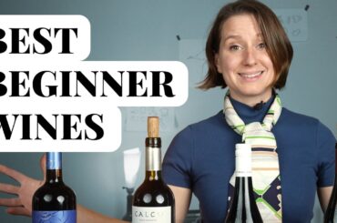 5 Best Red Wines for Beginners | Wine Folly