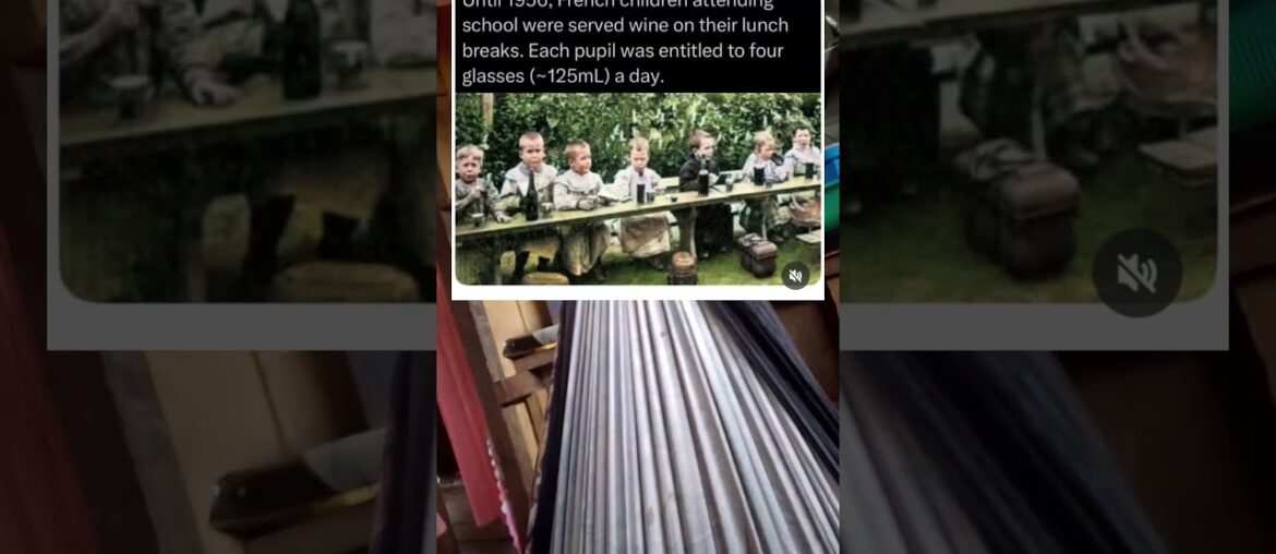 Until 1956, French children attending school were served wine on their lunch#shorts