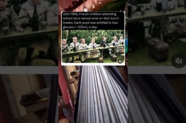 Until 1956, French children attending school were served wine on their lunch#shorts