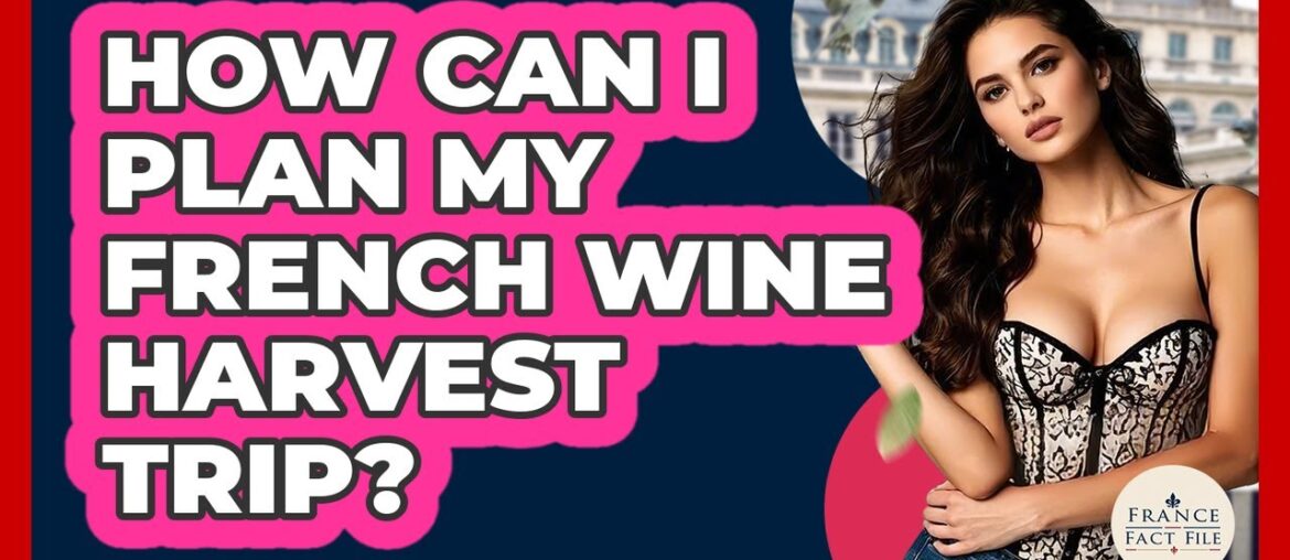 How Can I Plan My French Wine Harvest Trip? – France Fact File How Can I Plan My French Wine Harvest Trip? - France Fact File