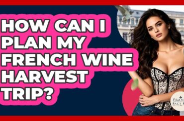 How Can I Plan My French Wine Harvest Trip? - France Fact File