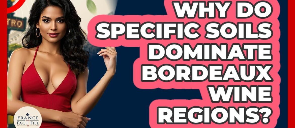 Why Do Specific Soils Dominate Bordeaux Wine Regions? – France Fact File Why Do Specific Soils Dominate Bordeaux Wine Regions? - France Fact File