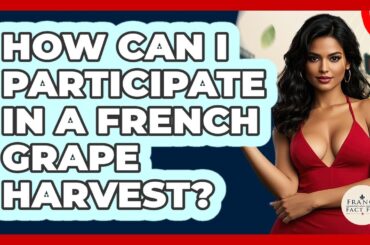 How Can I Participate In A French Grape Harvest? - France Fact File