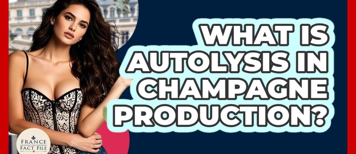 What Is Autolysis In Champagne Production? – France Fact File What Is Autolysis In Champagne Production? - France Fact File
