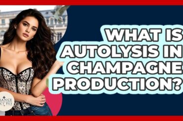 What Is Autolysis In Champagne Production? - France Fact File
