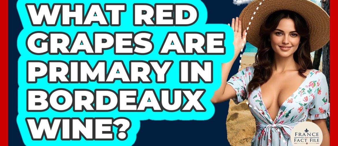 What Red Grapes Are Primary In Bordeaux Wine? – France Fact File What Red Grapes Are Primary In Bordeaux Wine? - France Fact File