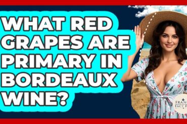 What Red Grapes Are Primary In Bordeaux Wine? - France Fact File